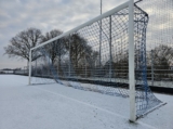 Sneeuwlaag bedekt sportpark 'Het Springer' (18/37)